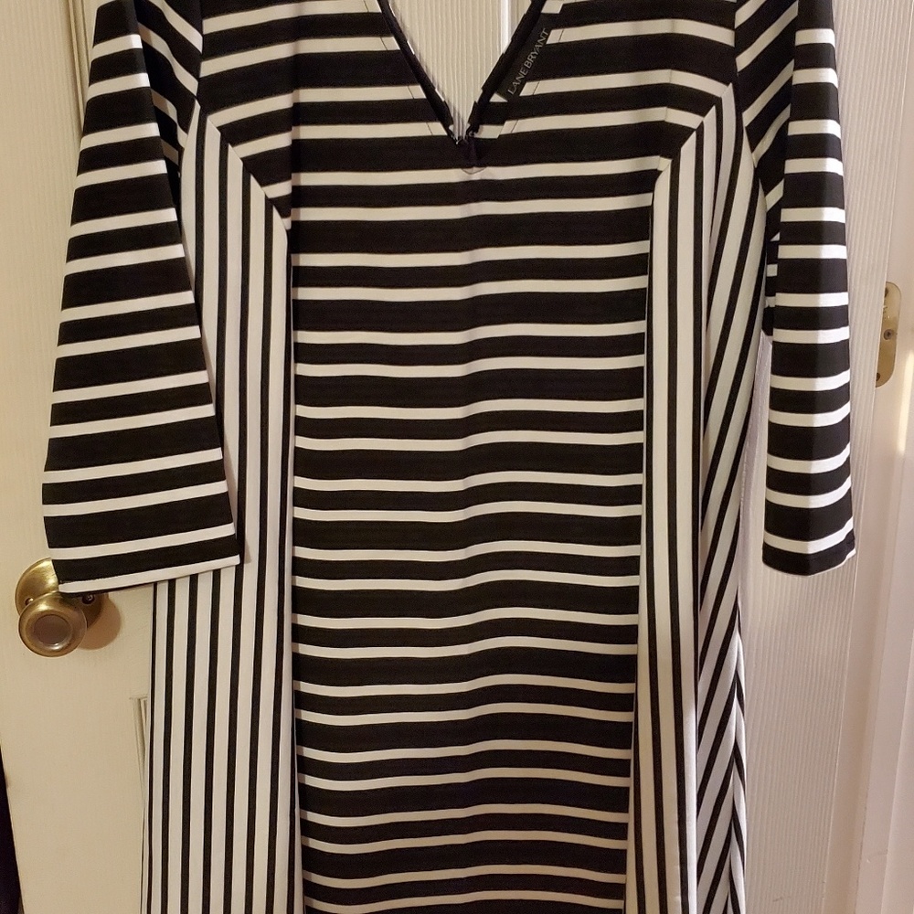 Women's dress NWOT